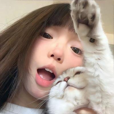 爱是一只猫