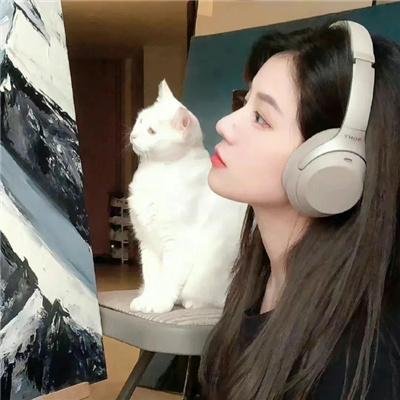孤高的手术刀