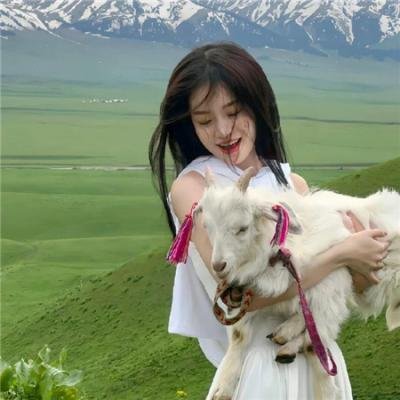 我的主场队